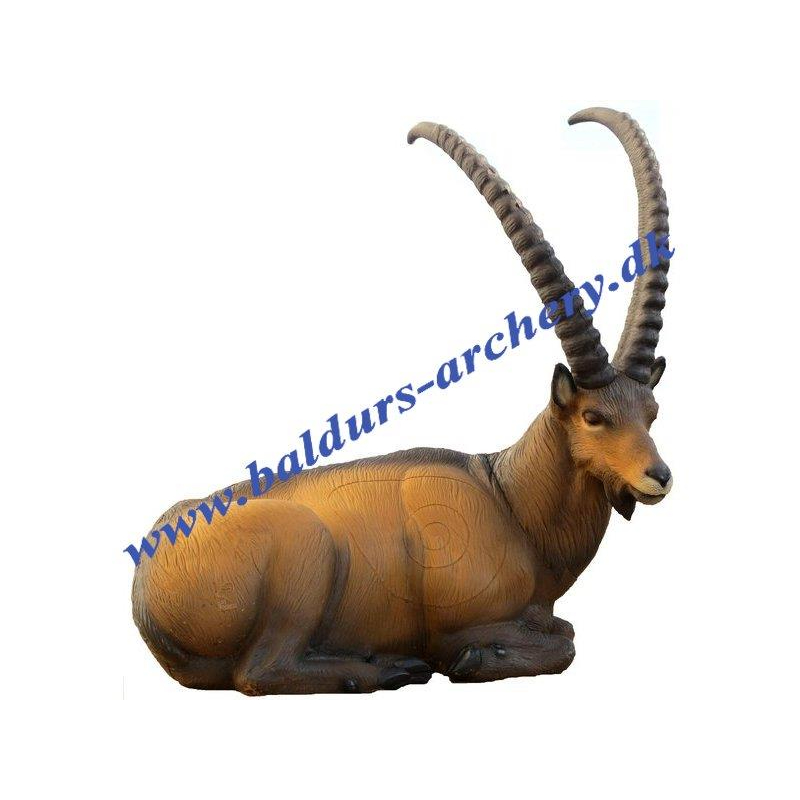 SRT Target 3D Ibex bedded