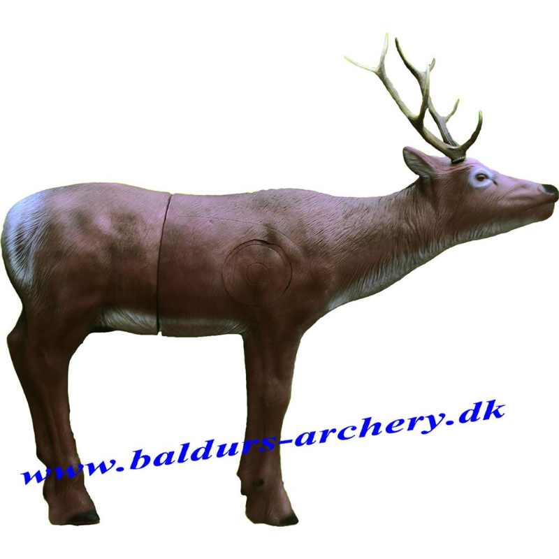 ELEVEN 3D ELK W/INSERT