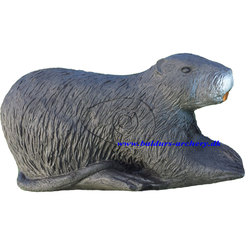 ELEVEN 3D Nutria